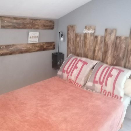 Chambre 23M2 Avec Jardin Wi-Fi Gratuit Saint-Girons Apartment ภายนอก รูปภาพ