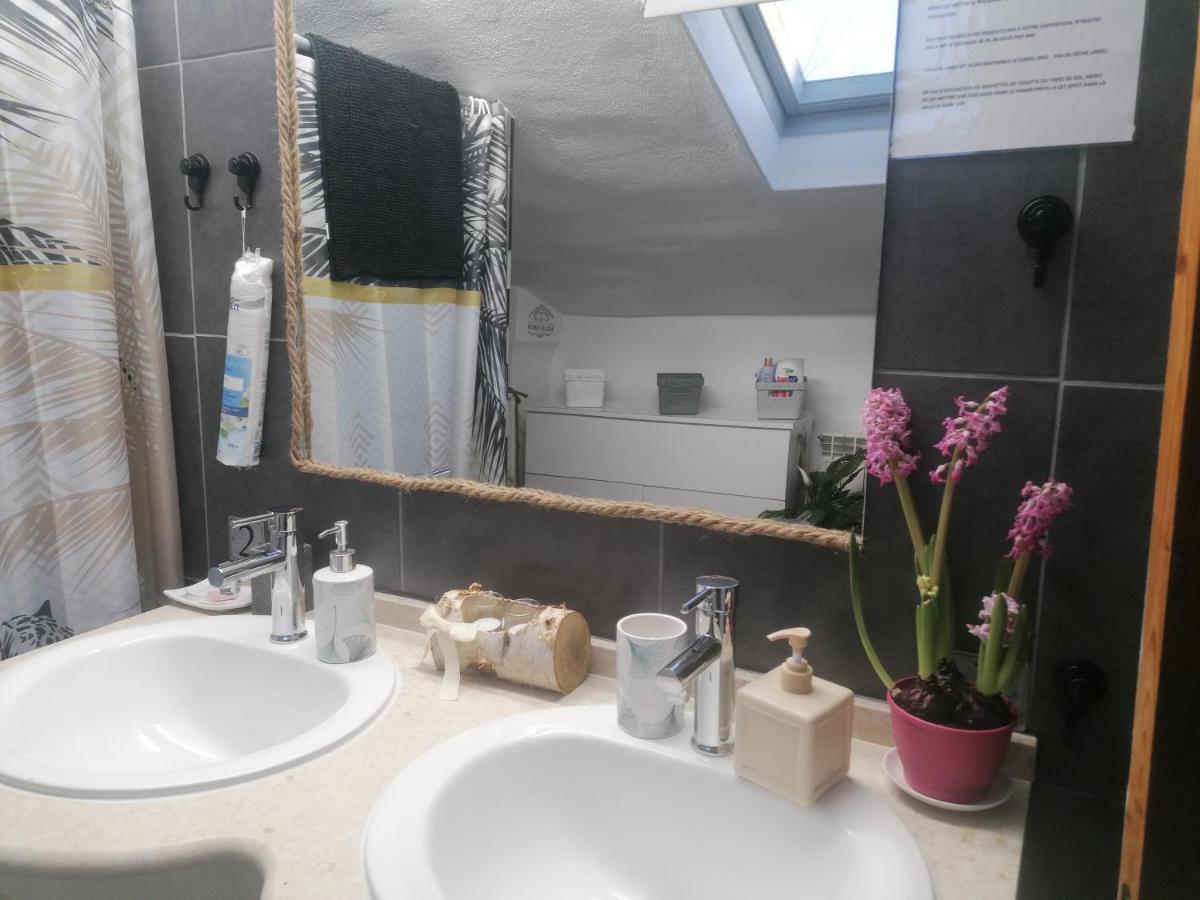 Chambre 23M2 Avec Jardin Wi-Fi Gratuit Saint-Girons Apartment ภายนอก รูปภาพ